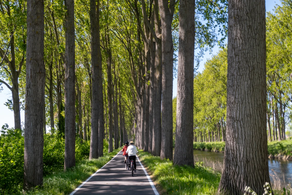 Ommeland per E-bike